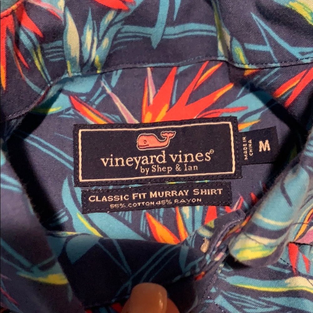 Button Down - image 4